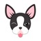 Welcome to Boston Bull Terrier Keyboard