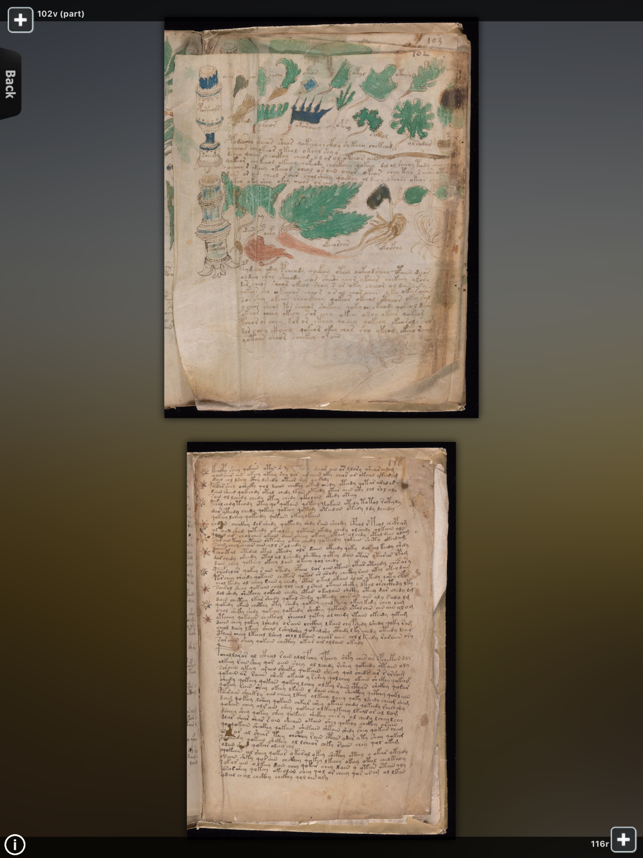 Full Voynich Manuscript Screenshot