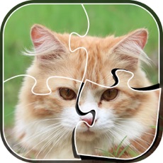 Activities of Little Kitty Jigsaw Puzzle - Kitty Games