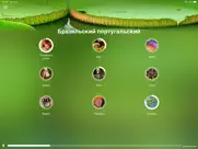 Учи бразильский португальский айпад изображения 1