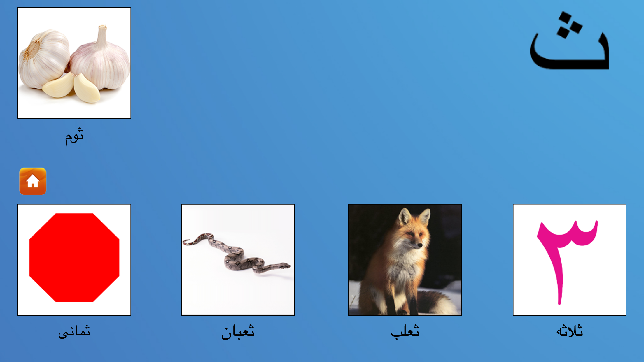 My First Book of Arabic HD