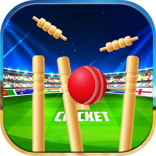 Pool Cricket Opend