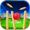 Pool Cricket Opend is the most complete cricket game for your Phone