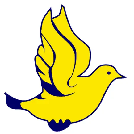 Colegio LAR Читы