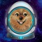 Keyla Fun Run is a lovely 2D platform game where you control the cutest pomeranian named Keyla