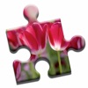 Blooming Flowers Puzzle icon