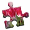 Blooming Flowers Puzzle contact information