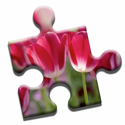 Blooming Flowers Puzzle Cheats