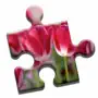 Blooming Flowers Puzzle