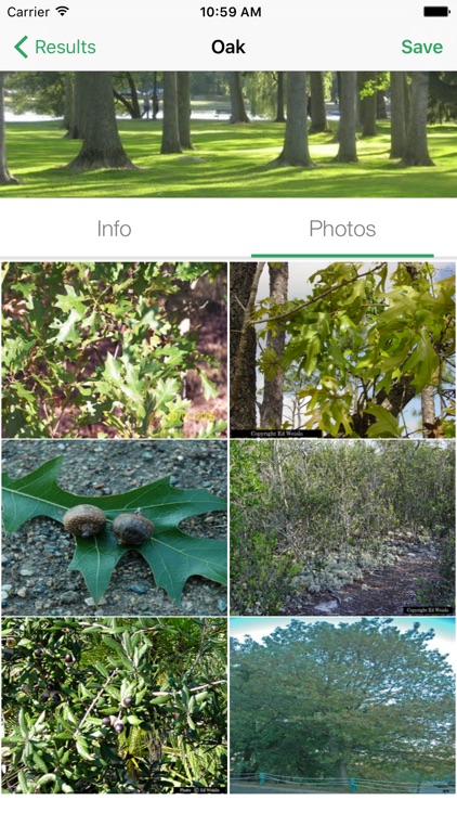 PlantInfo