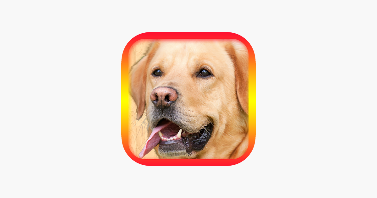 Falando Cachorro Cão Max na App Store