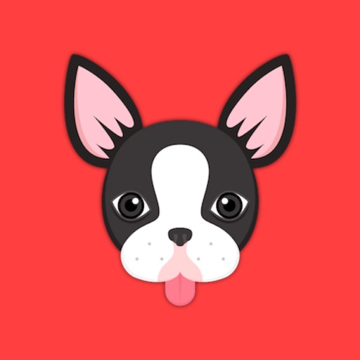 Black Boston Terrier Animated Emoji Stickers by Marisa Marquez