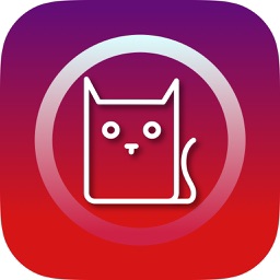 TV Cat-Lecteur TV en direct gratuit