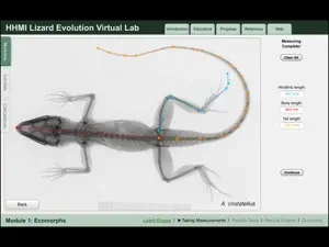 Lizard Evolution Virtual Lab screenshot #4 for iPad