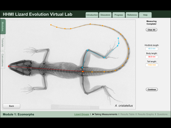 Screenshot #6 pour Lizard Evolution Virtual Lab