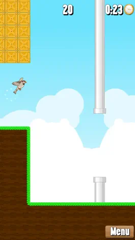 Game screenshot Happy Aviary Adventure - Pick your bird game! mod apk