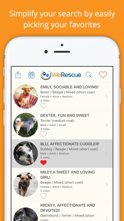 WeRescue – Find a Rescue Dog, Cat or Pet to Adopt
