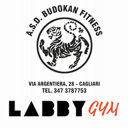 BUDOKAN LabbyGym