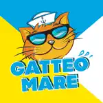 Gatteo Mare Summer Village App Contact