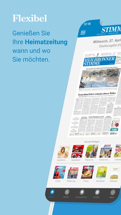 Stimme E-Paper Screenshot