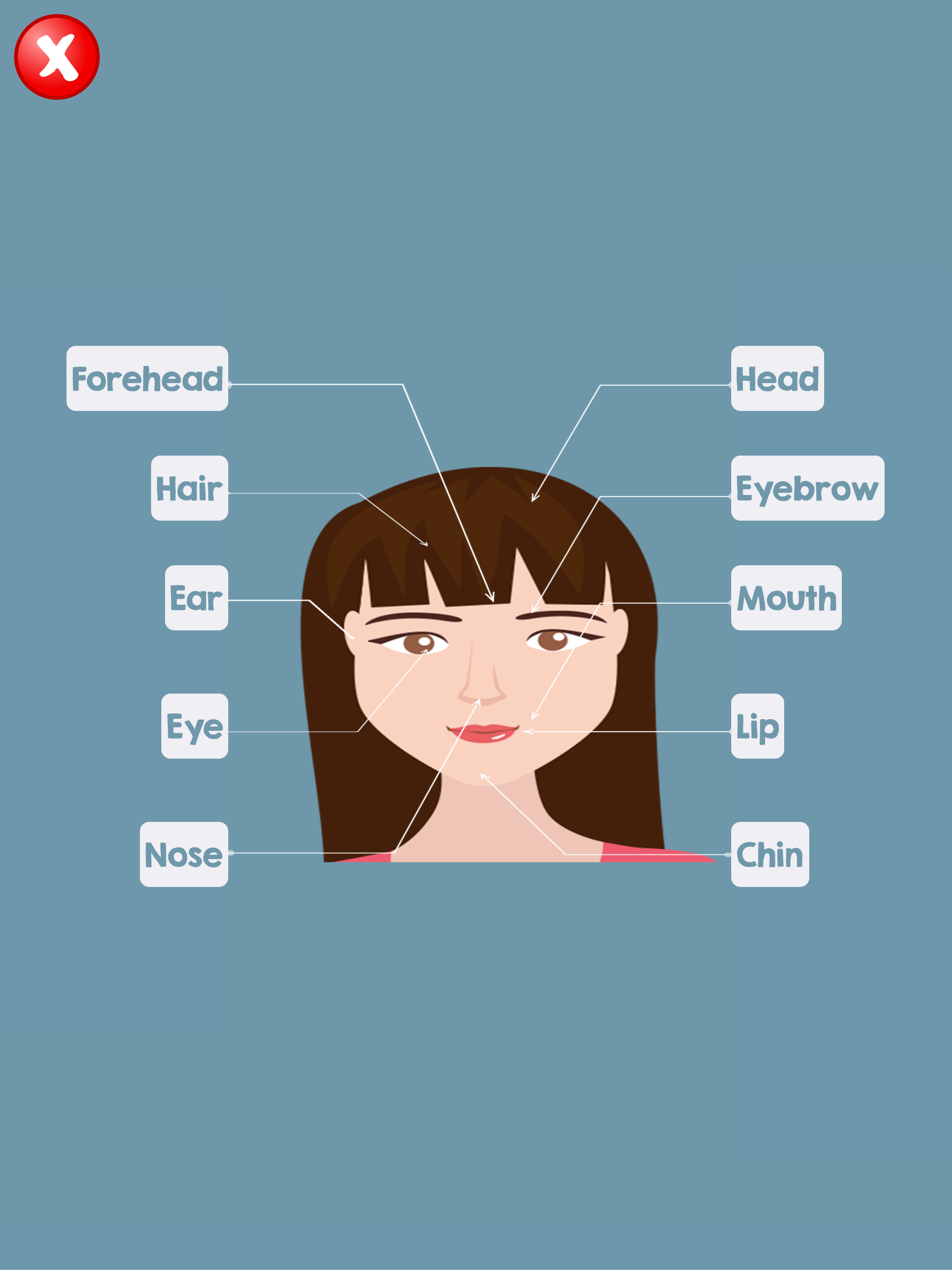 Human Body Parts Name screenshot 10