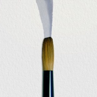 Art Brush Watercolor