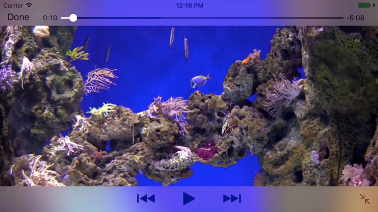 Aquarium Videos 4K