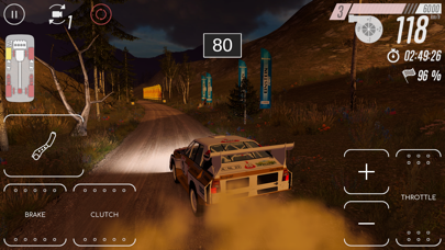 CarX Rally screenshot1