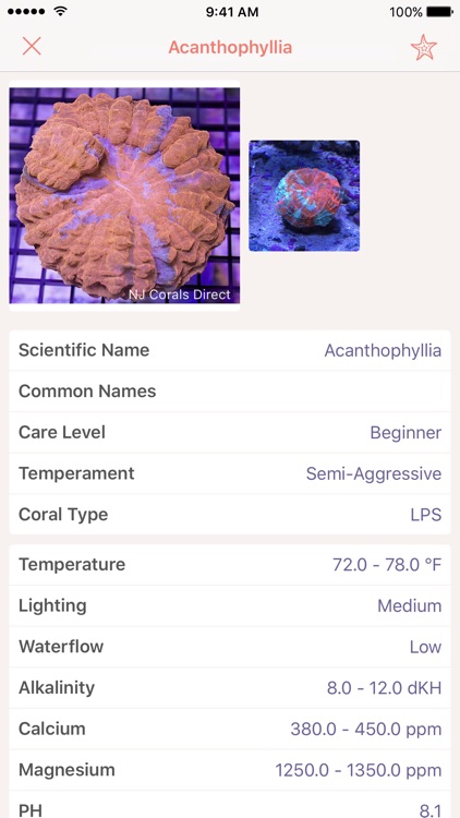Atoll - Coral Identification App