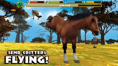 Wild Horse Simulator Screenshot