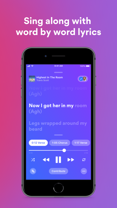 Musixmatch Lyrics Finder screenshot1