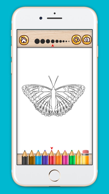 Colorful butterfly coloring book