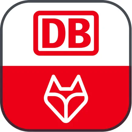 DB Learning Читы