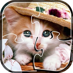 Cute Kitty Jigsaw Puzzle - Crazy Cat Game