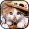 Cute Kitty ﻿puzzle is an incredible free puzzle game on which you arrange randomized tiles to see the completed photo and discover a fun fact about it