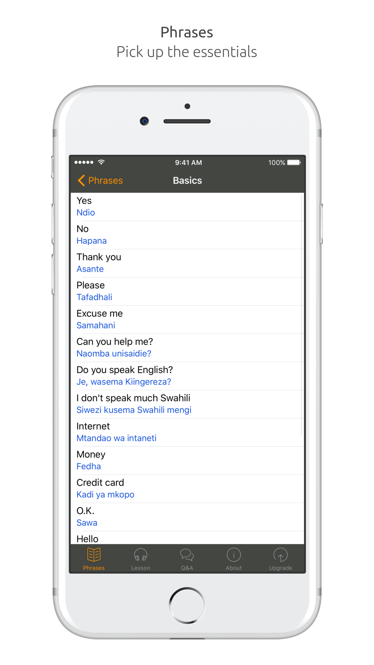 Swahili Language Guide & Audio - World Nomads screenshot 4