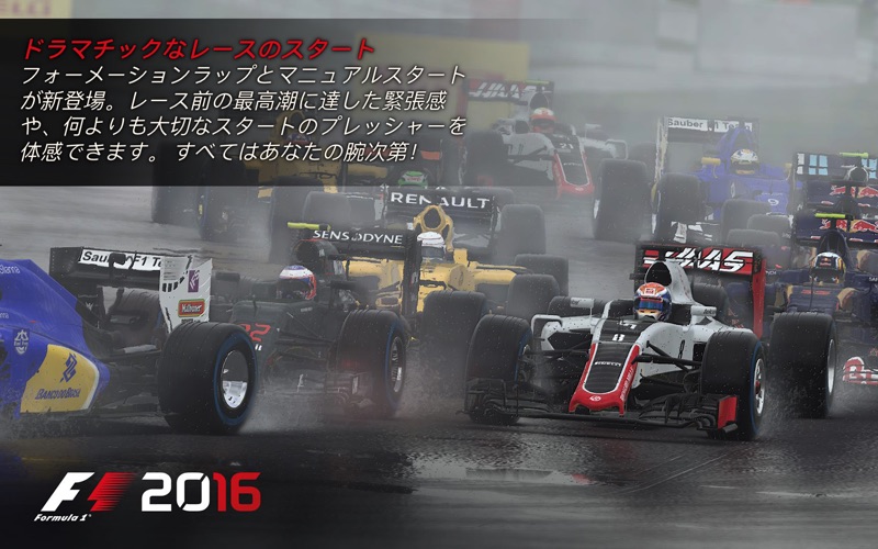 F1™ 2016 screenshot1