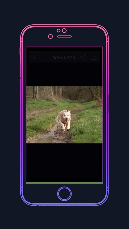 WALLPPR - High resolution HD wallpapers for iphone screenshot-4