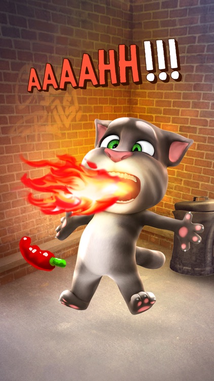Talking Tom Cat screenshot-3