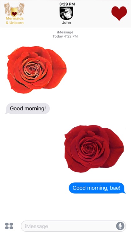 Delightful Roses