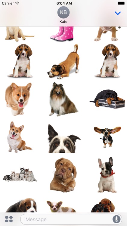 Mr. Woof - funny dog stickers