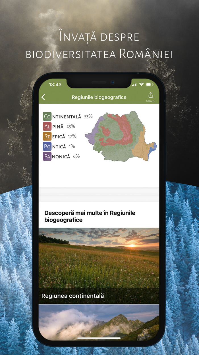 România Sălbatică