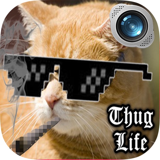 Thug Life Photo Maker: Смешные наклейки редактор