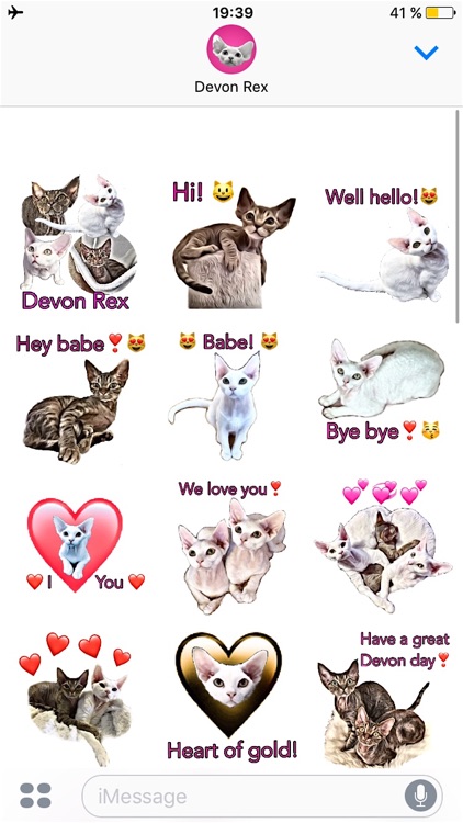 Devon Rex
