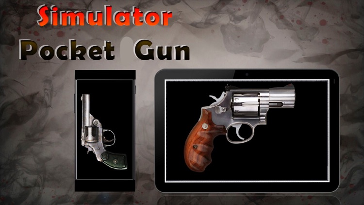 Simulator Pocket Gun