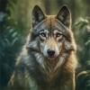 Wolf Simulator: Wild Wolf Game icon