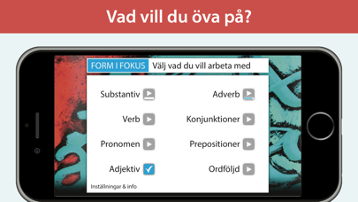 Form i fokus A – svensk grammatik Screenshot