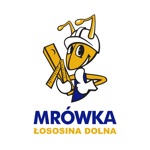 Download Mrówka Łososina Dolna app