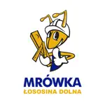 Mrówka Łososina Dolna App Contact