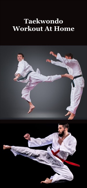 Taekwondo Workout At Home on the App Store